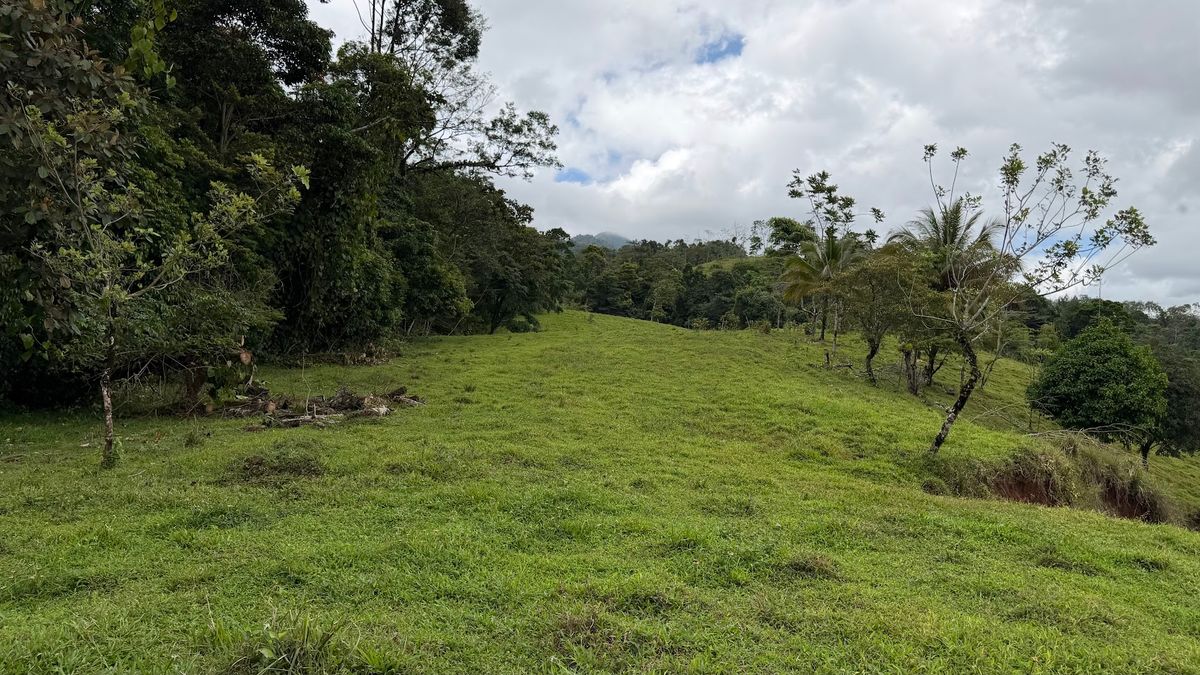 Finca Turística y Agropecuaria en San Carlos: Con Nacientes y Ríos