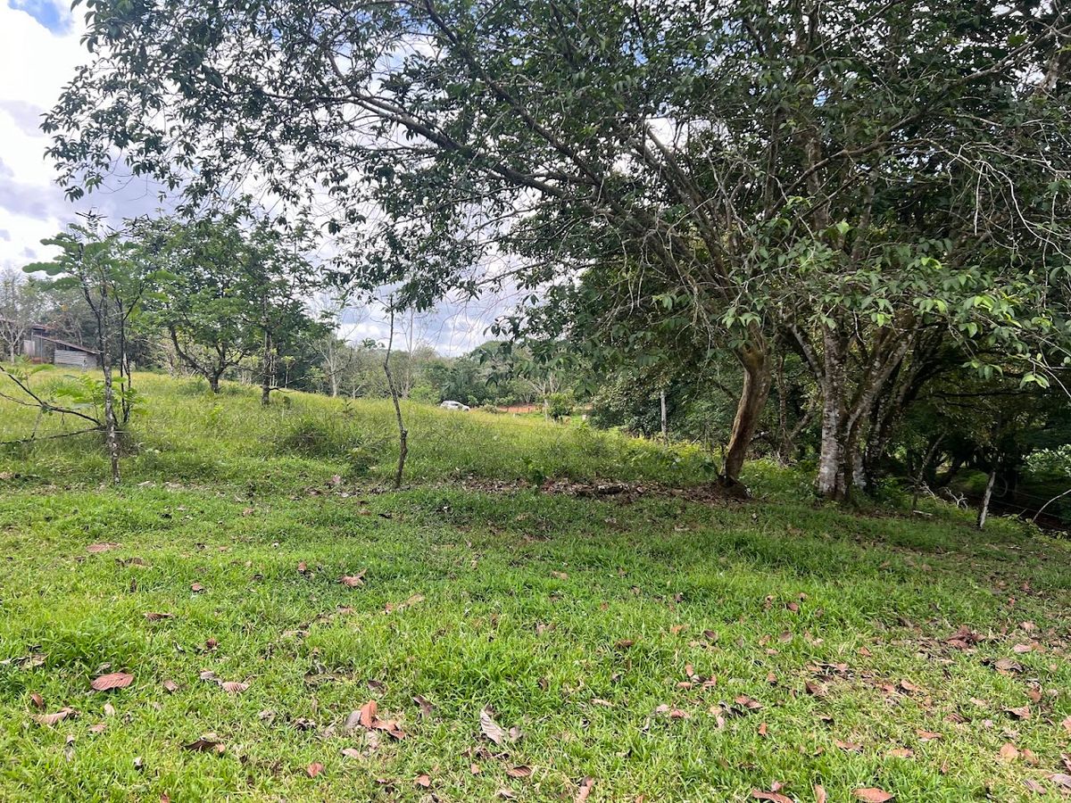 4,036 sqm Versatile Rural Lot in San Jorge de Cutris, San Carlos