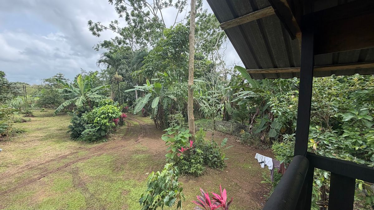 Land for Sale in Las Delicias, Aguas Zarcas: Heritage & Nature