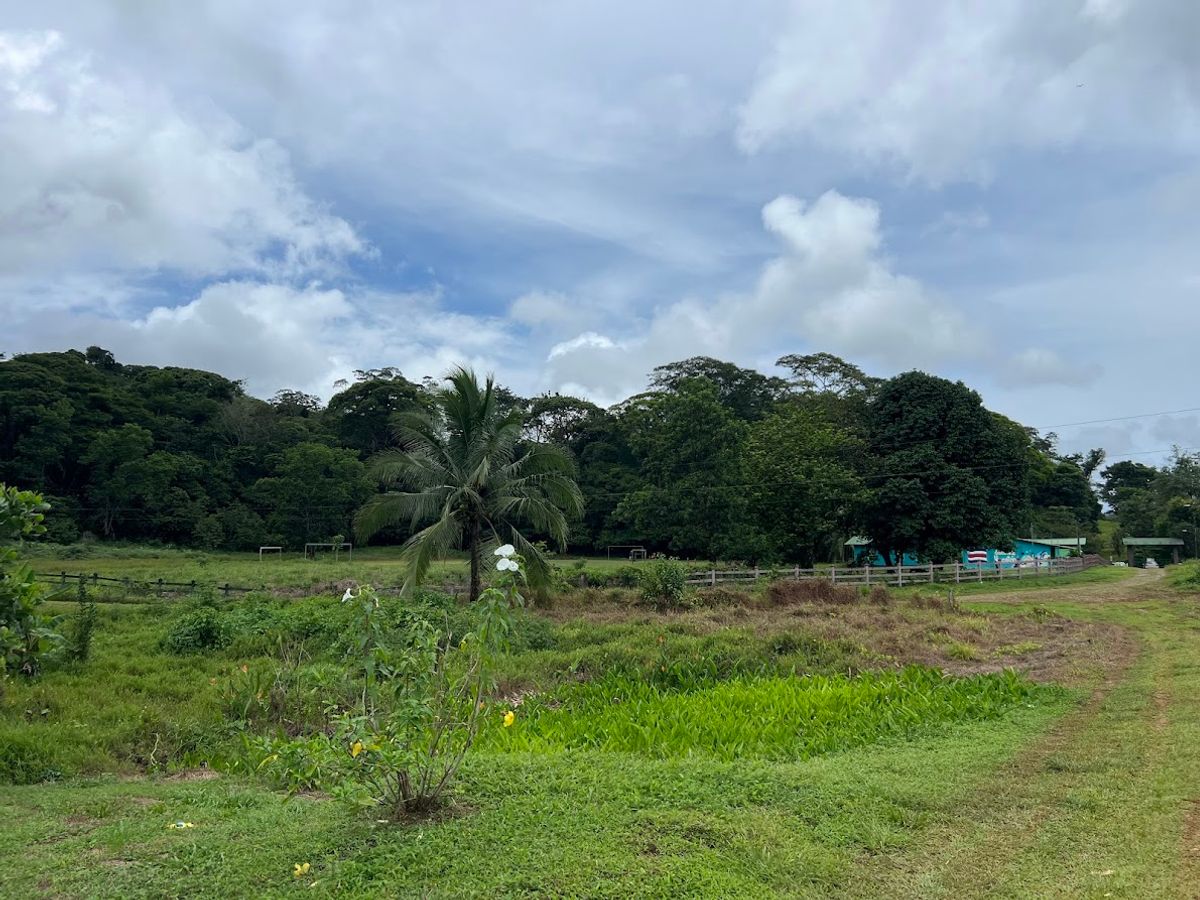 Cattle ranch in Costa Rica, San Carlos