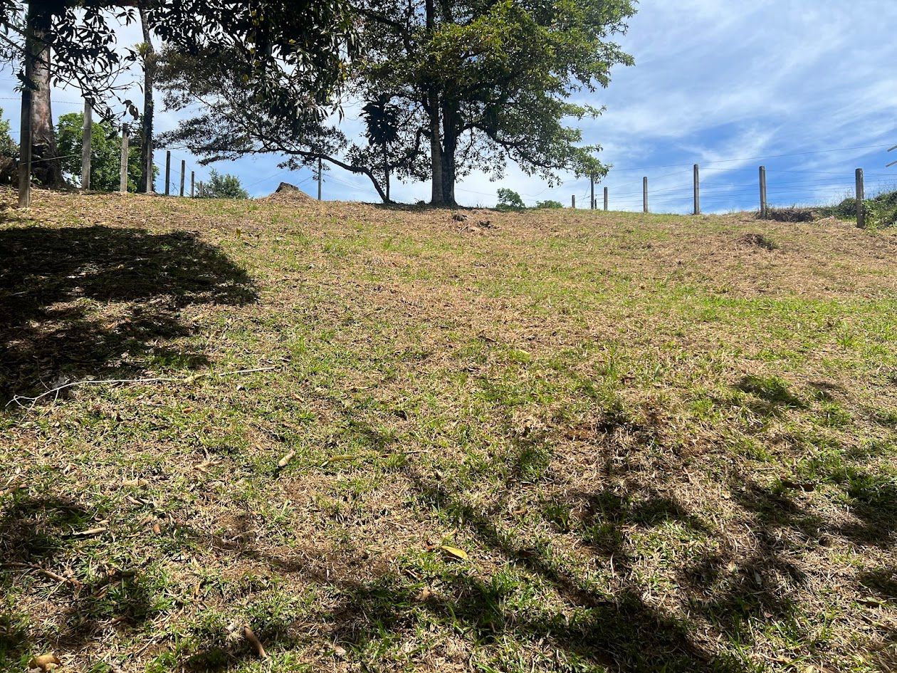 Lote en Linda Vista de La Tesalia San Carlos: Naturaleza