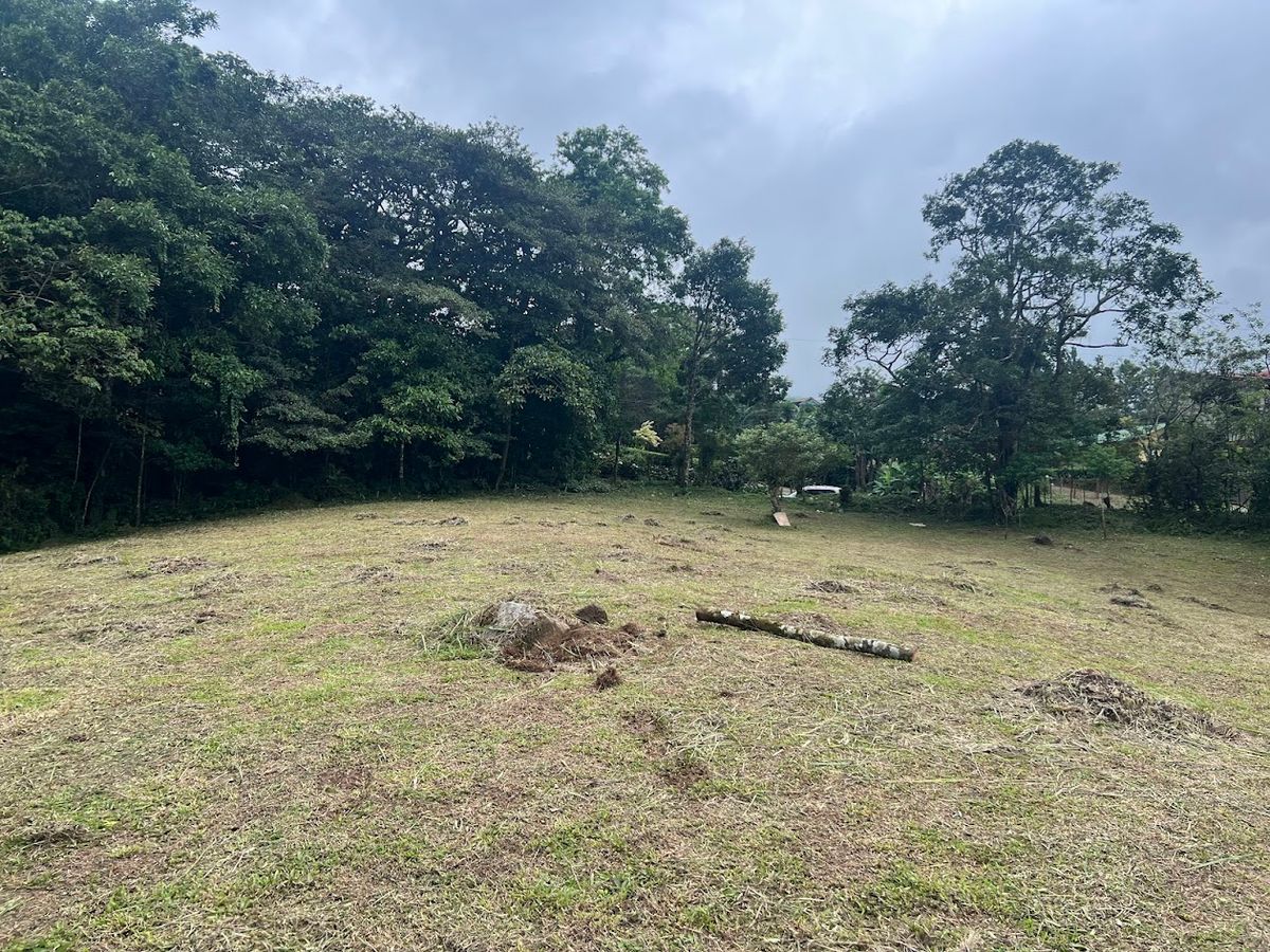 3,000 sqm Flat Lot in San Gerardo: Nature & Investment Opportunity