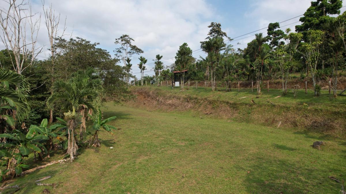 Stunning 6.4-Acre Lakefront Estate with Tourism Potential in La Palmera