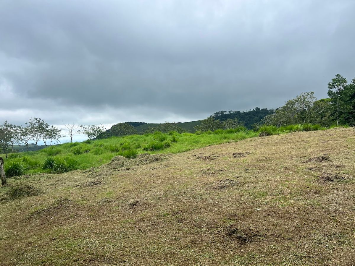 3,000 sqm Flat Lot in San Gerardo: Nature & Investment Opportunity