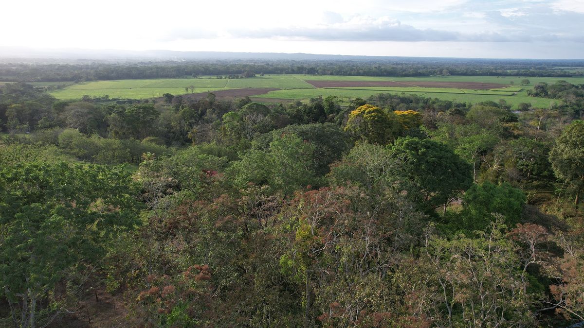 Lot in Cuestillas, Florencia with Panoramic Views