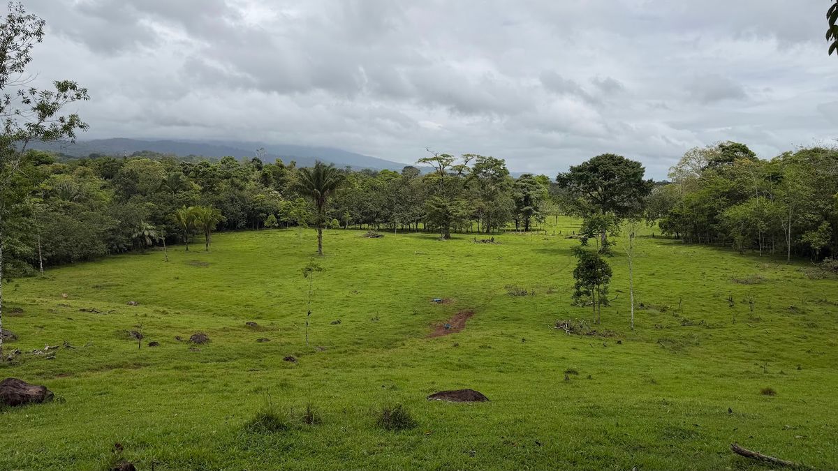 Finca Ganadera entre Upala y Bijagua: Dividida por Vía Nacional