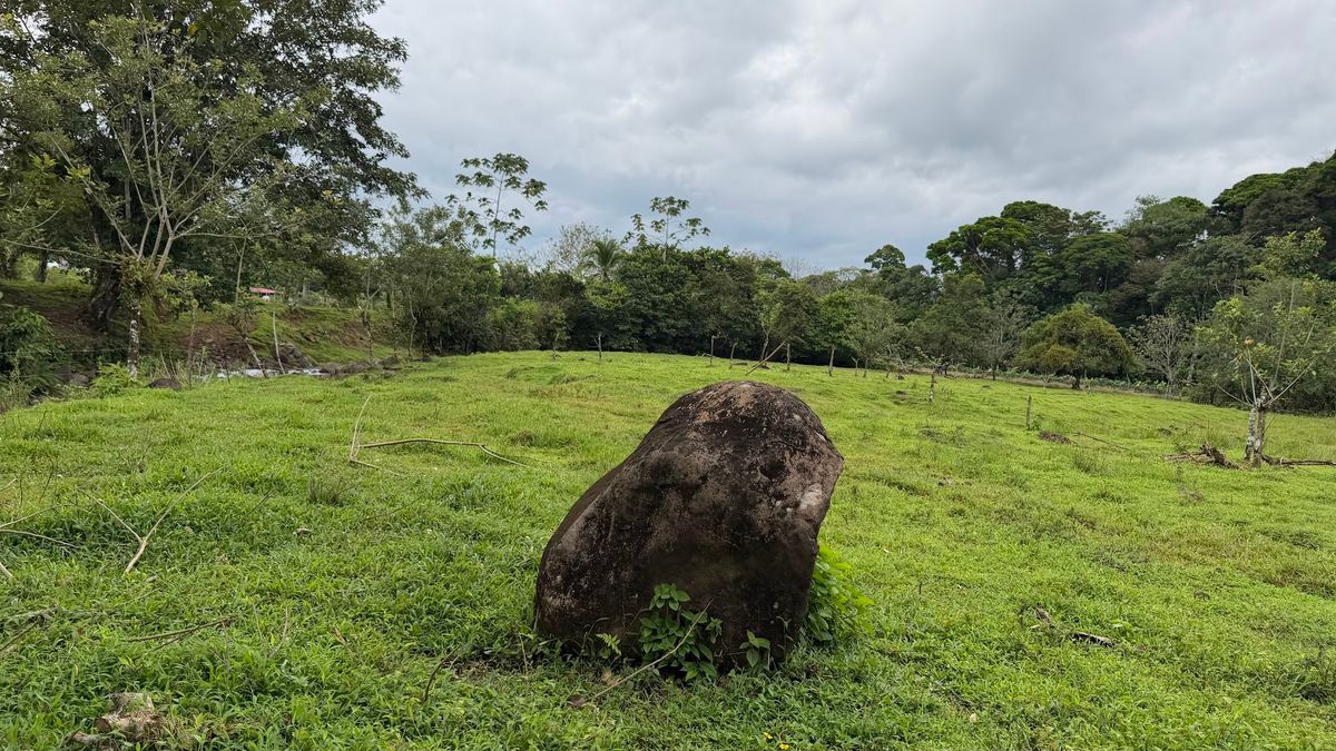 Finca Turística y Agropecuaria en San Carlos: Con Nacientes y Ríos