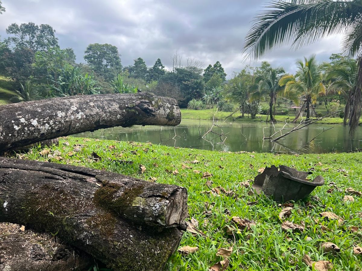 Stunning 6.4-Acre Lakefront Estate with Tourism Potential in La Palmera