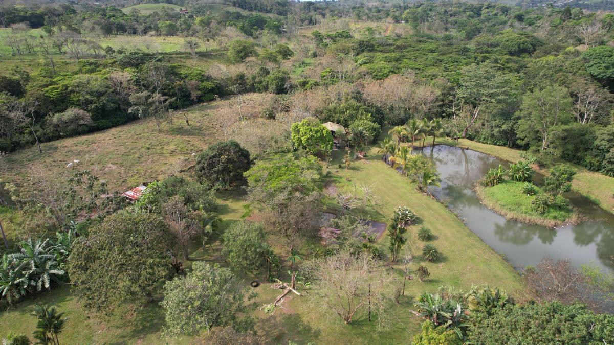 Stunning 6.4-Acre Lakefront Estate with Tourism Potential in La Palmera