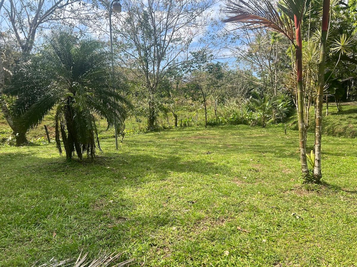 Stunning 6.4-Acre Lakefront Estate with Tourism Potential in La Palmera