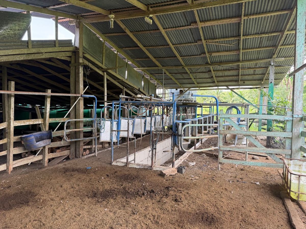 Finca Ganadera entre Upala y Bijagua: Dividida por Vía Nacional