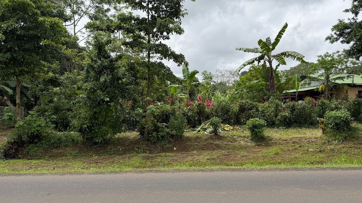 Land for Sale in Las Delicias, Aguas Zarcas: Heritage & Nature