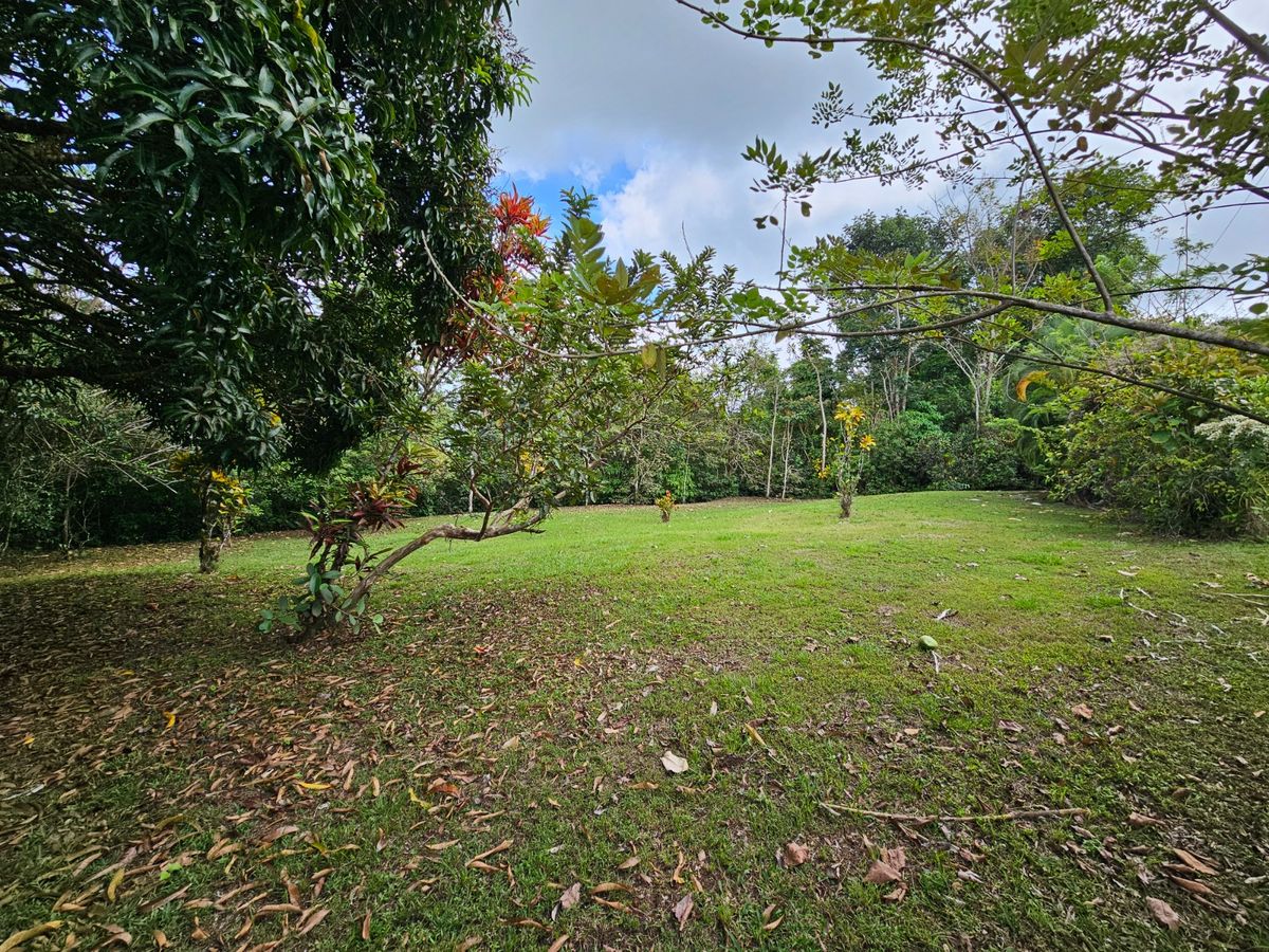 Finca de 3.2 Hectáreas en Peñas Blancas: Con Río y Potencial Turístico