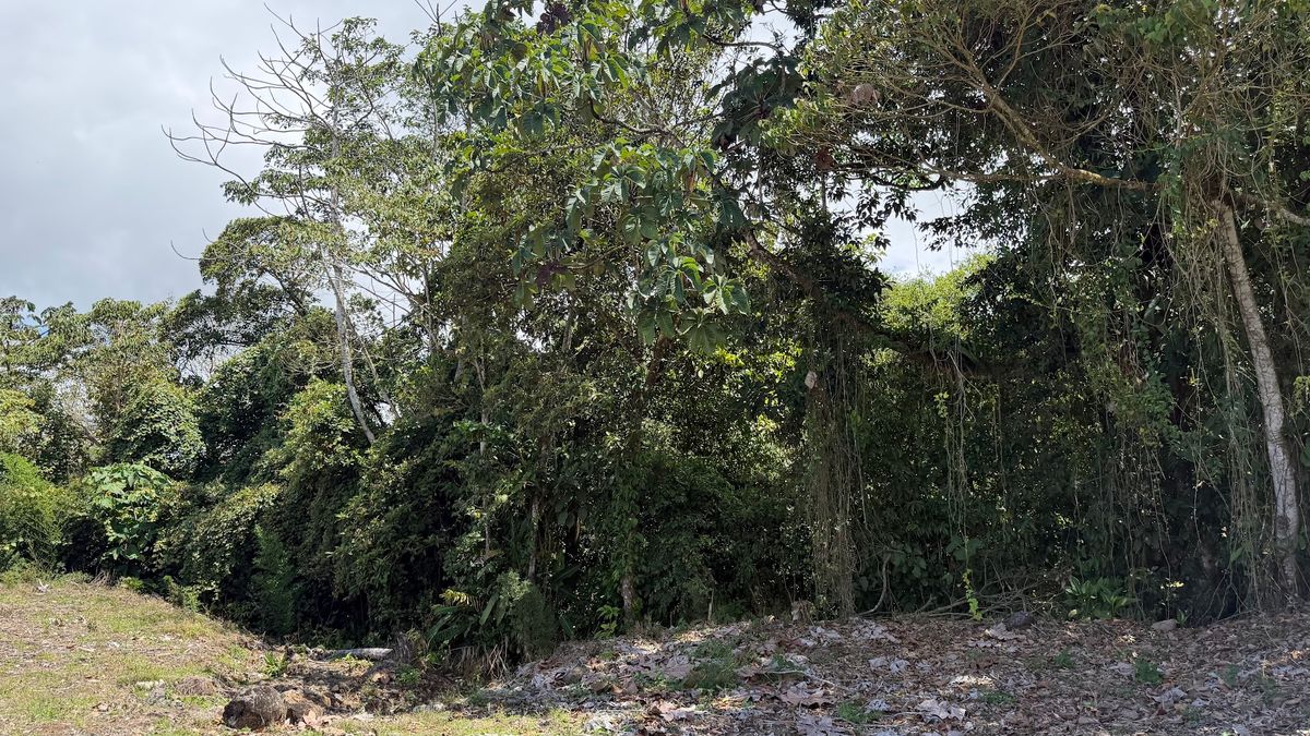 Private lot in San Gerardo, Ciudad Quesada