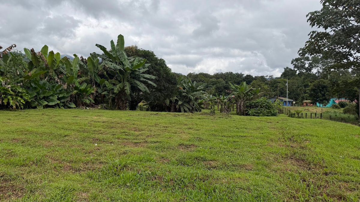 Land for Country Home in La Tigra, San Carlos: Bordering River