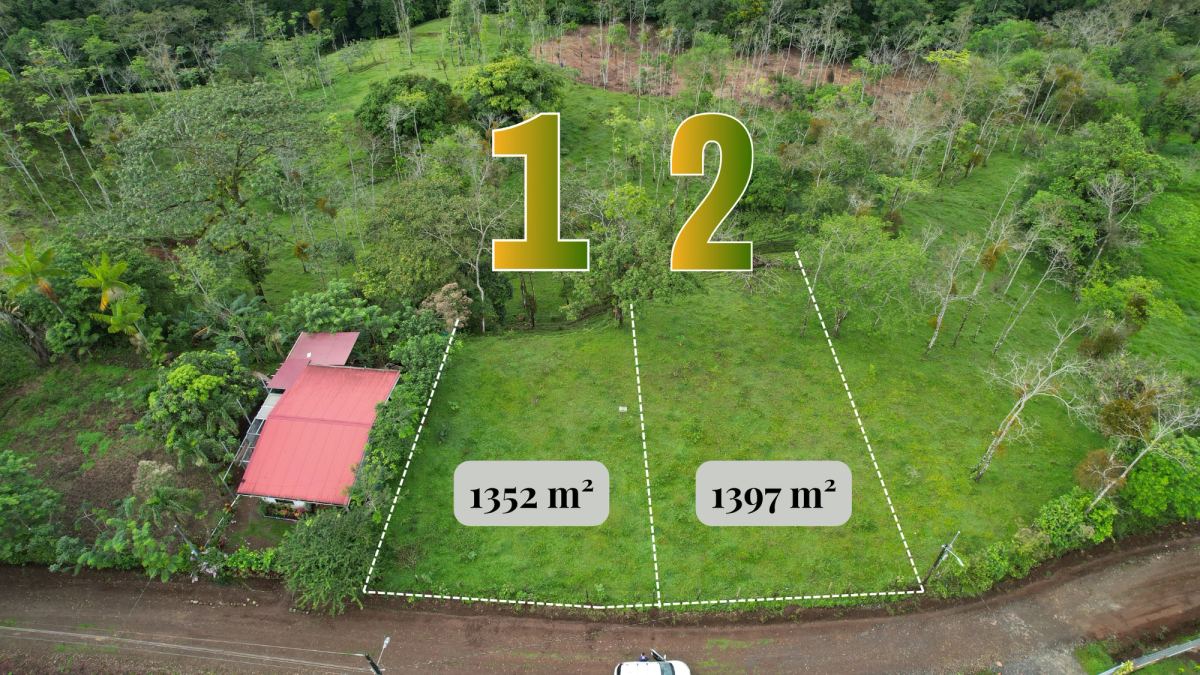 Lotes en Cedral de Ciudad Quesada: Topografía Plana y Paz