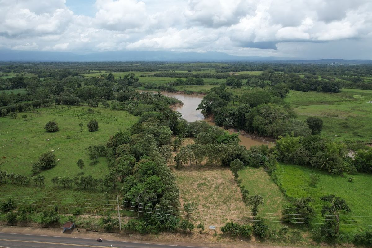 Commercial Land in Boca Arenal: Near Muelle Logistics Hub & Free Trade Zone.