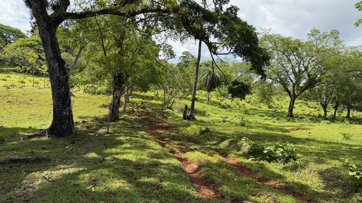 Fully Operational Livestock Development in Cuatro Esquinas