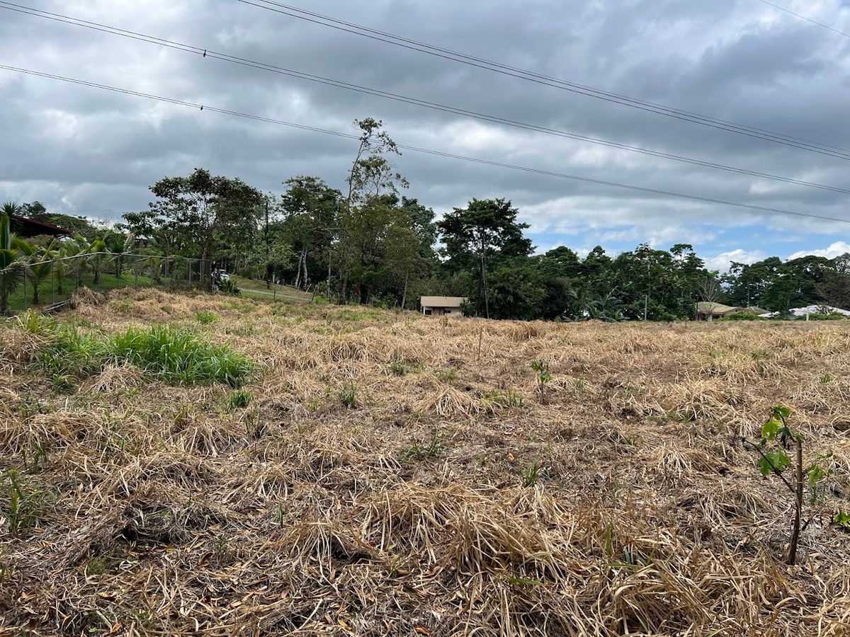 Lotes con precio de Oportunidad en Ciudad Quesada: en Puente Casa