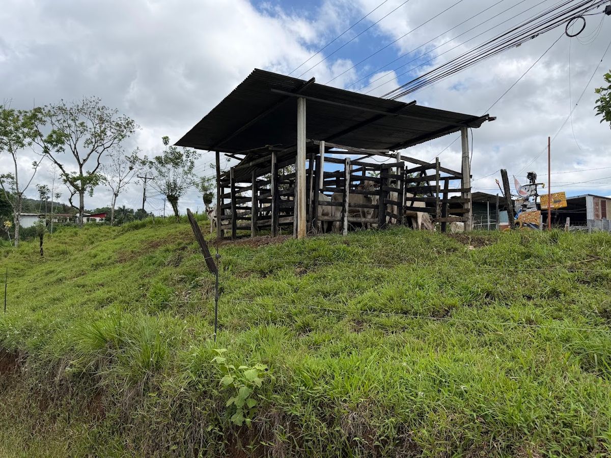 Finca Turística y Agropecuaria en San Carlos: Con Nacientes y Ríos