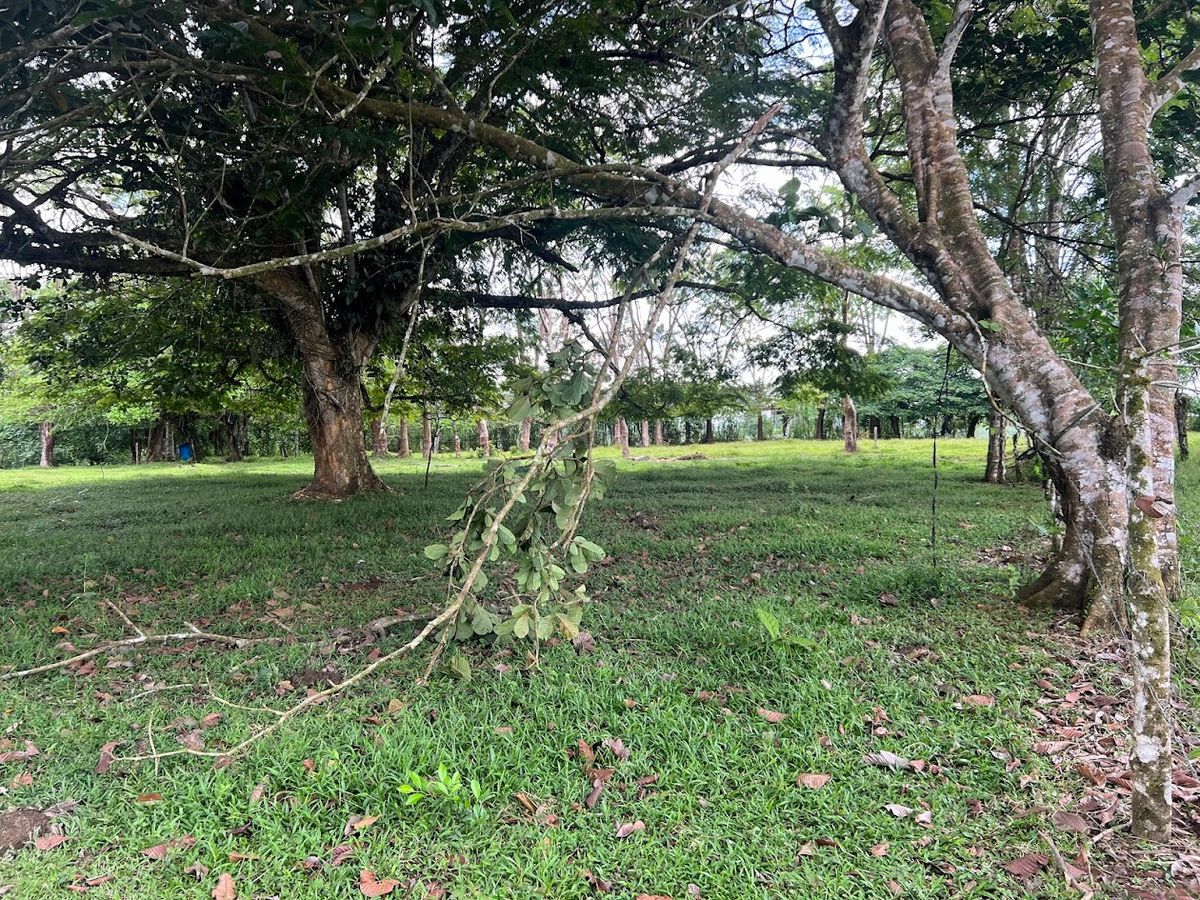 4,036 sqm Versatile Rural Lot in San Jorge de Cutris, San Carlos
