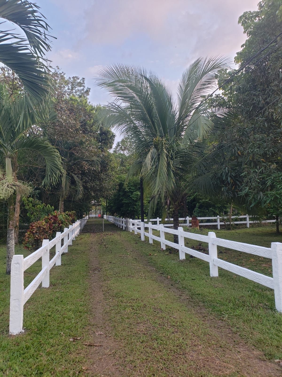 Quinta con Vista al Volcán en La Fortuna: Ideal para Airbnb