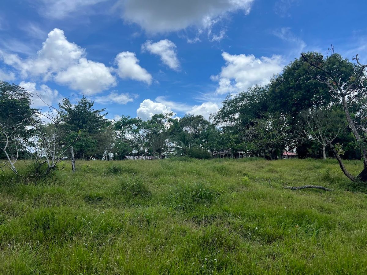 4,036 sqm Versatile Rural Lot in San Jorge de Cutris, San Carlos