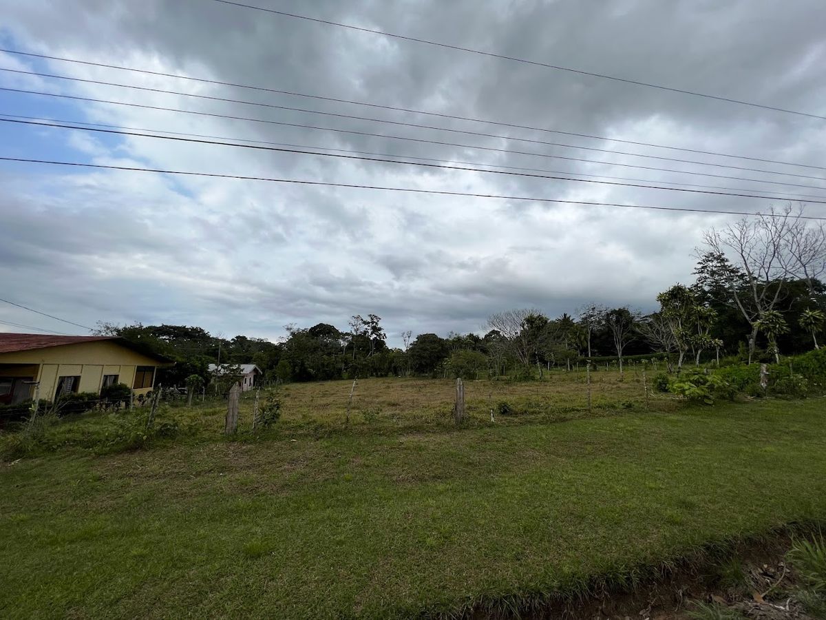 3,000 sqm Flat Lot in La Marina: Ready to Build & Prime Location