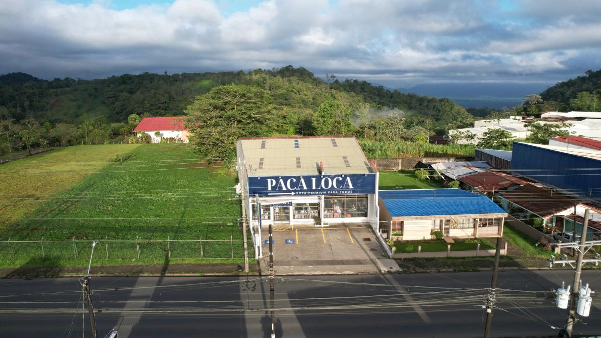 Local Comercial con Excelente Rentabilidad en Ciudad Quesada