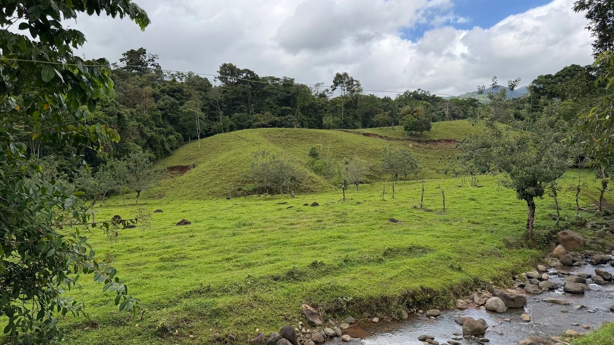 Finca Turística y Agropecuaria en San Carlos: Con Nacientes y Ríos