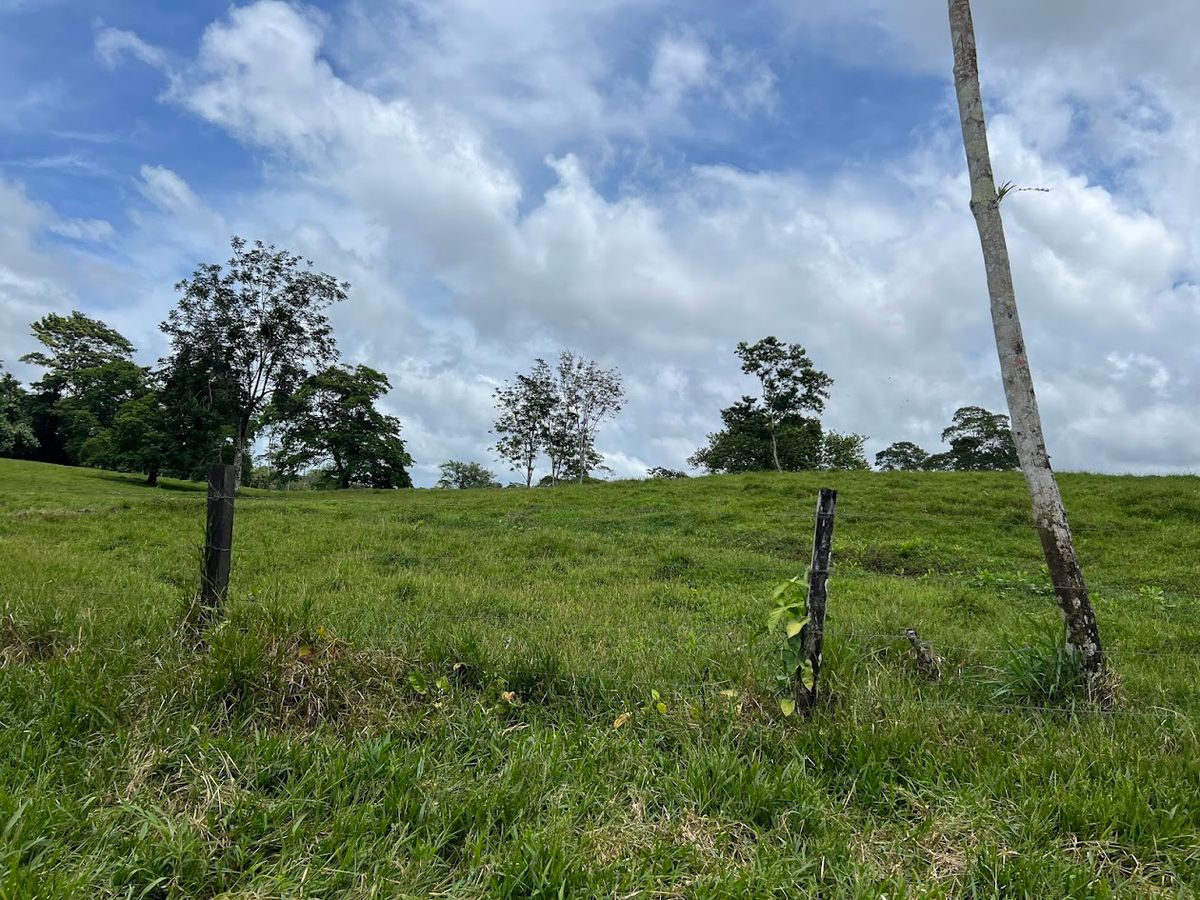 Cattle ranch in Costa Rica, San Carlos