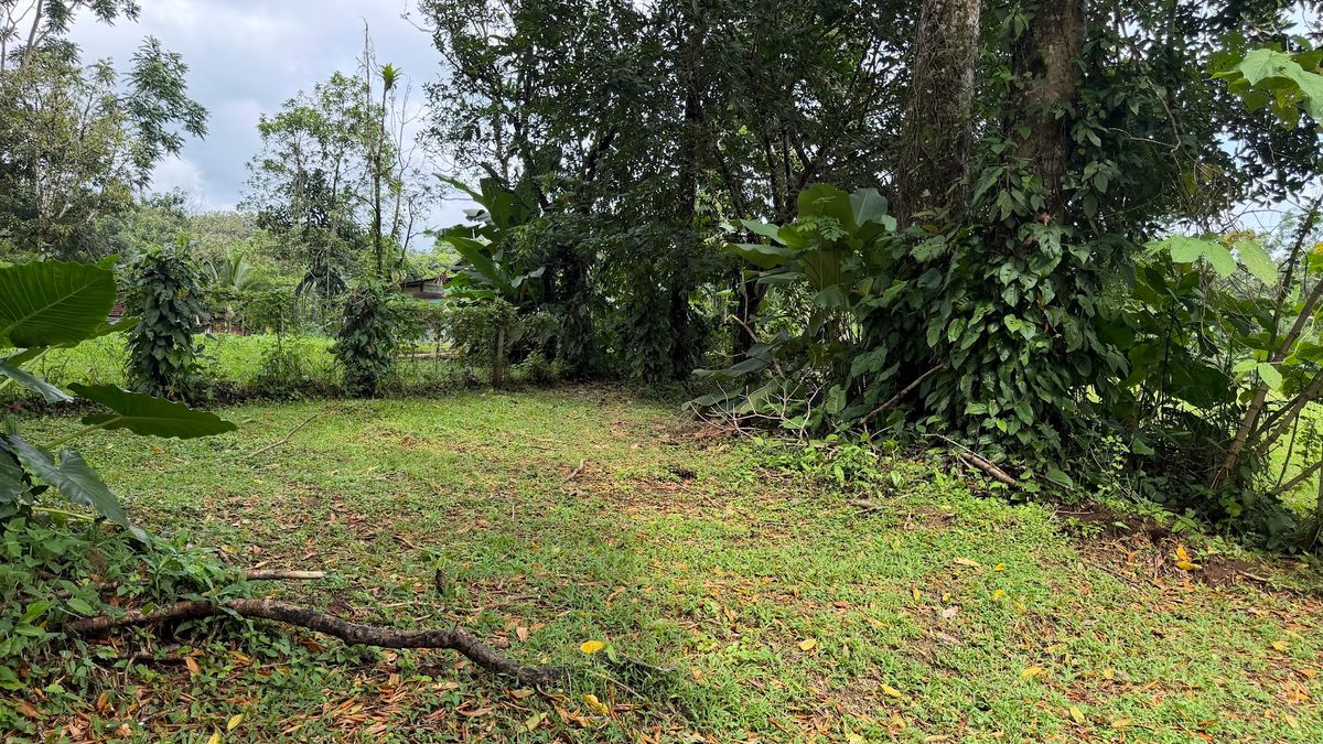 Land for Country Home in La Tigra, San Carlos: Bordering River