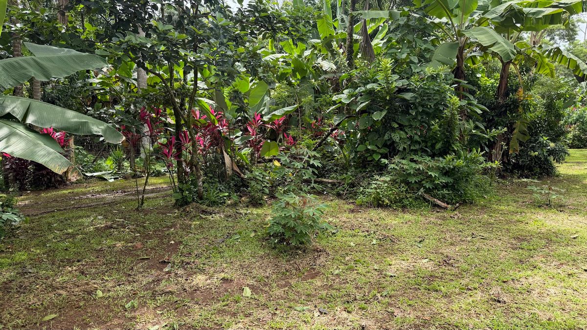 Land for Sale in Las Delicias, Aguas Zarcas: Heritage & Nature