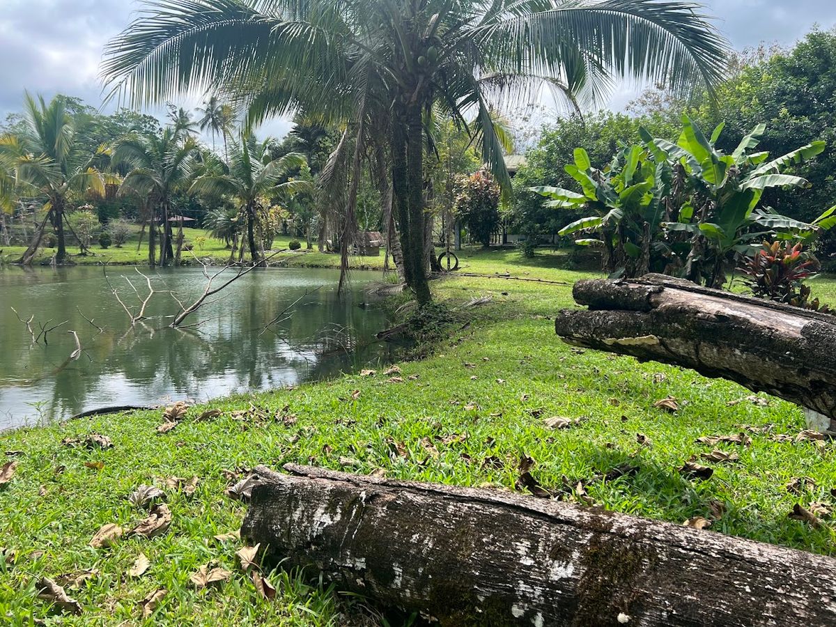 Stunning 6.4-Acre Lakefront Estate with Tourism Potential in La Palmera
