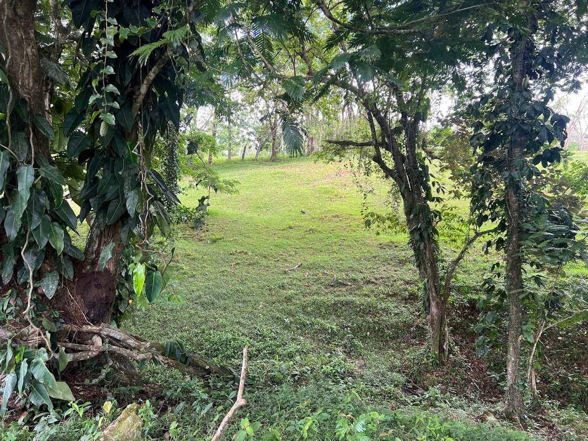 4,036 sqm Versatile Rural Lot in San Jorge de Cutris, San Carlos