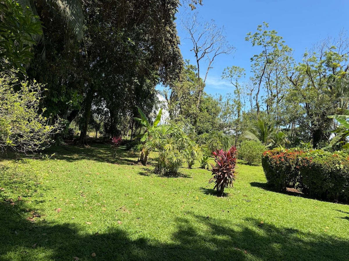 3.6-Hectare Livestock & Commercial Farm in La Vega: Main Road Frontage