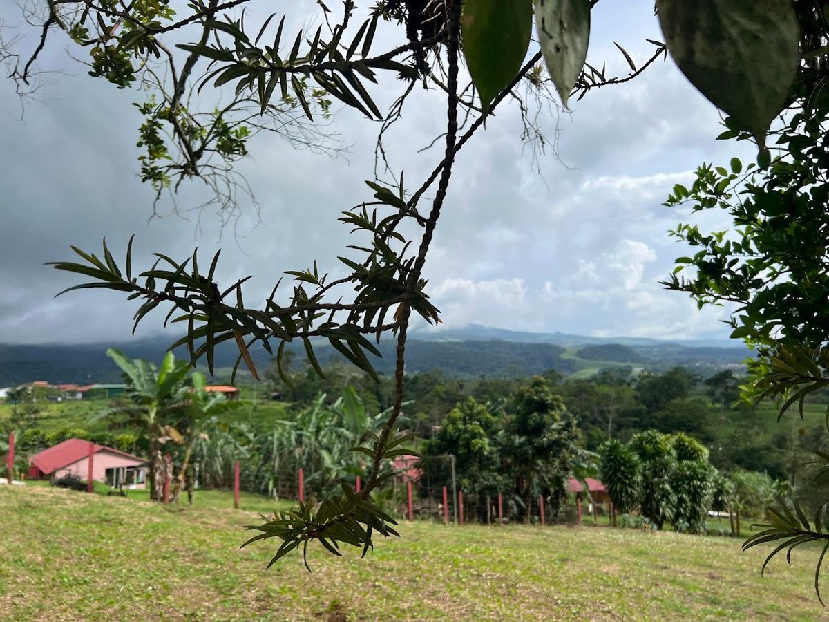 Home with Large Lot for Sale in La Tesalia | San Carlos
