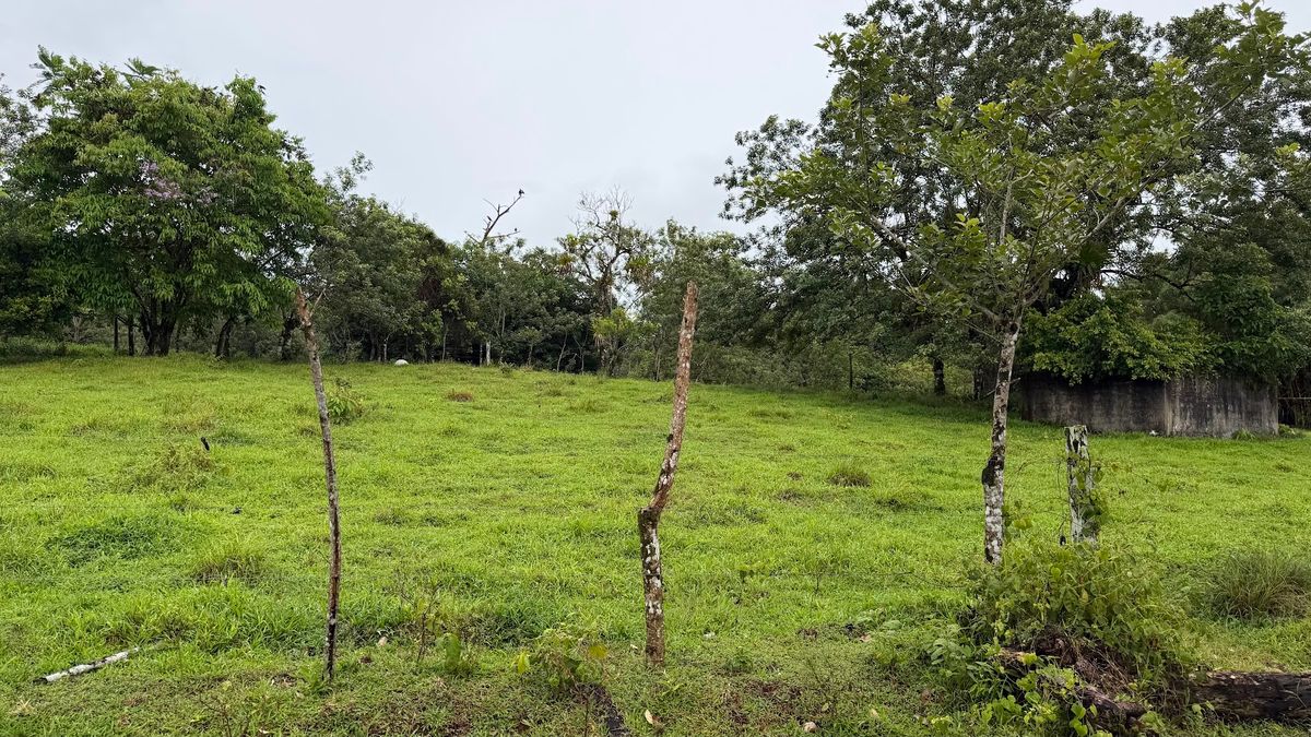 Finca Ganadera entre Upala y Bijagua: Dividida por Vía Nacional