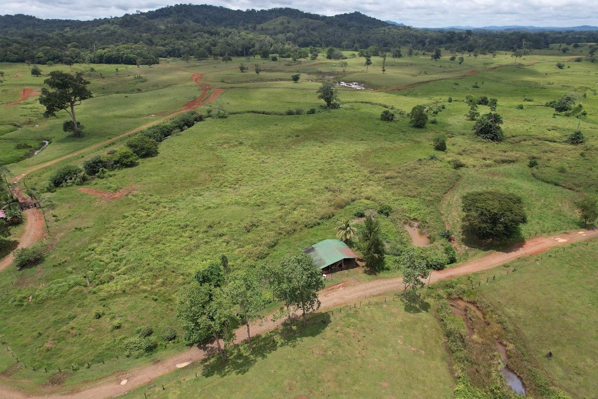 Cattle ranch in Costa Rica, San Carlos