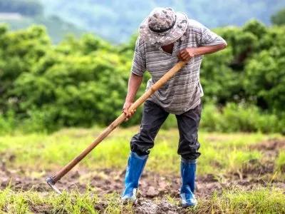El Peón Agropecuario: Lo que todo Finquero Debe Saber