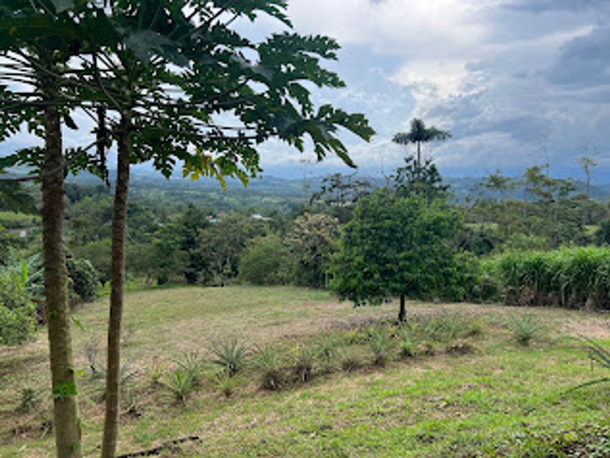 Home with Large Lot for Sale in La Tesalia | San Carlos