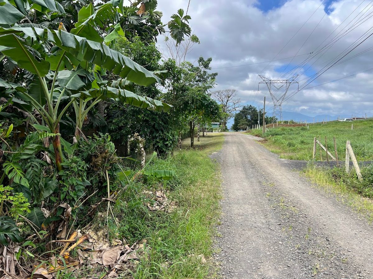 Lotes con precio de Oportunidad en Ciudad Quesada: en Puente Casa
