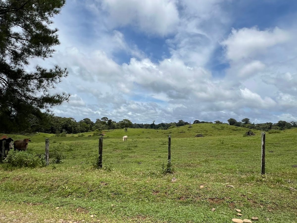Cattle ranch in Costa Rica, San Carlos