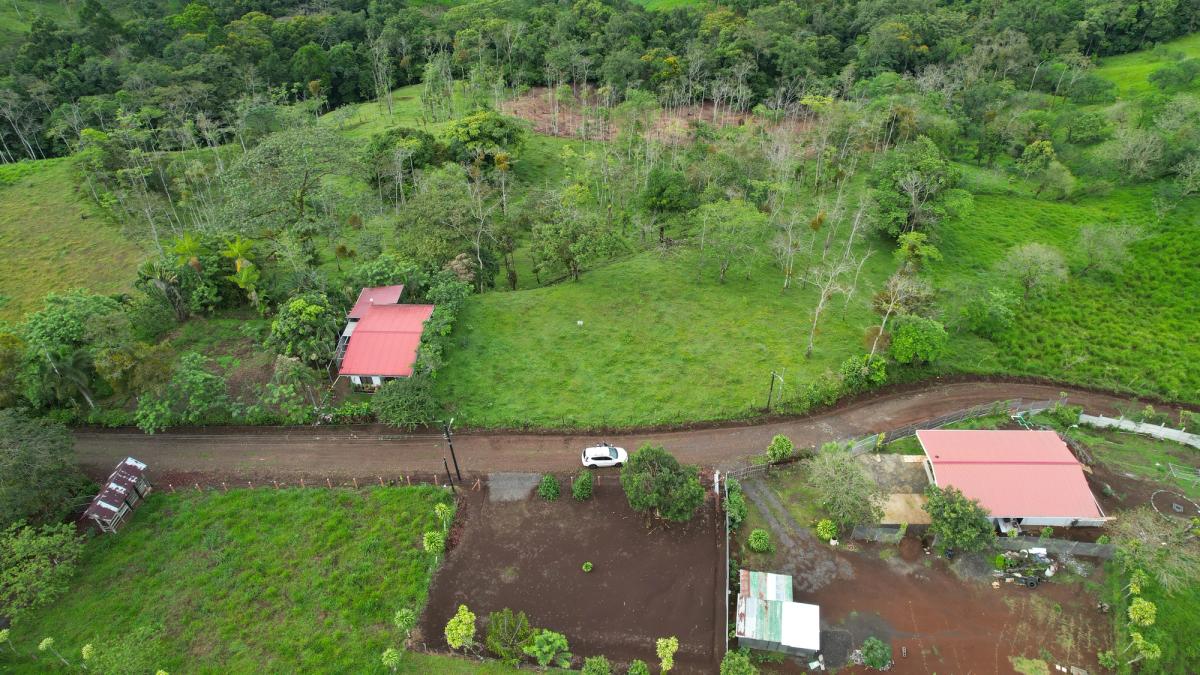 Lotes en Cedral de Ciudad Quesada: Topografía Plana y Paz