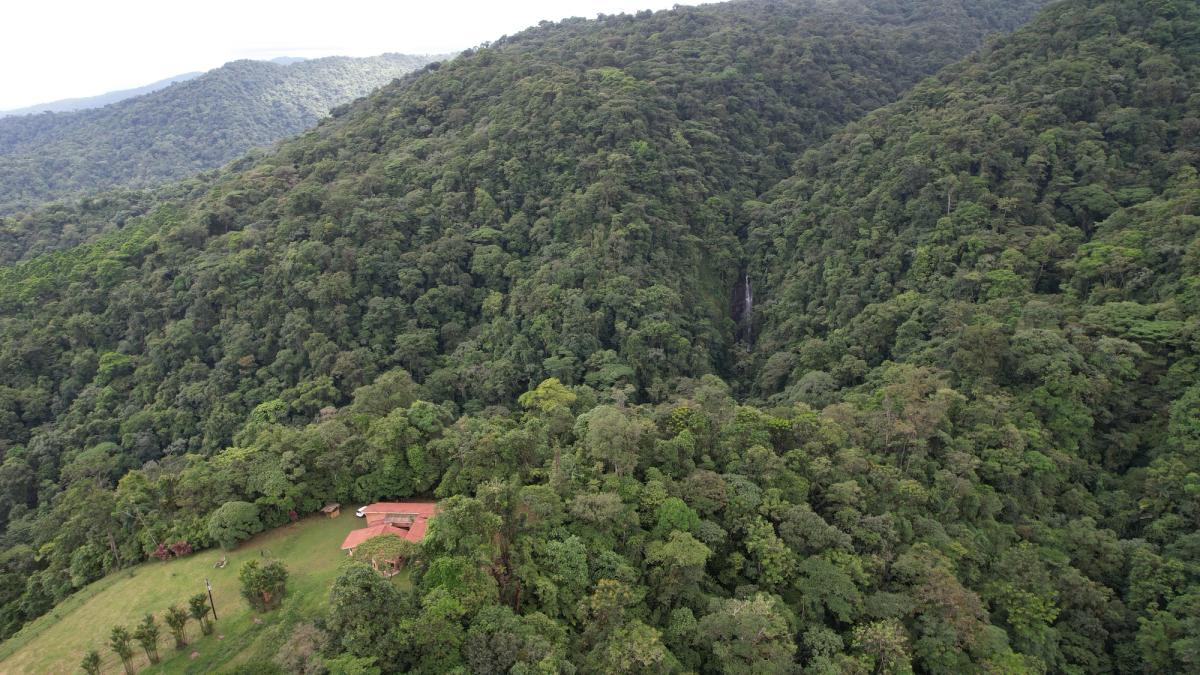 uxury Estate in La Fortuna: Waterfall Views & Mountain Sanctuary