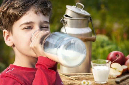 8 datos curiosos de la leche y su producción en Costa Rica