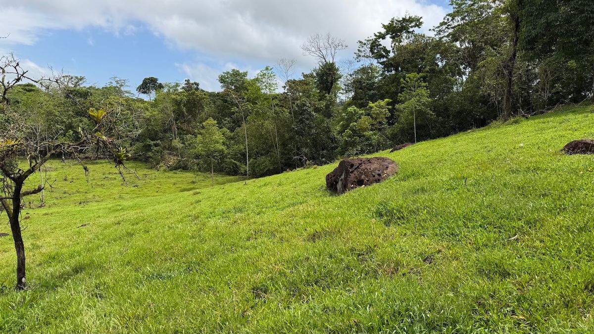 Finca Ganadera entre Upala y Bijagua: Dividida por Vía Nacional