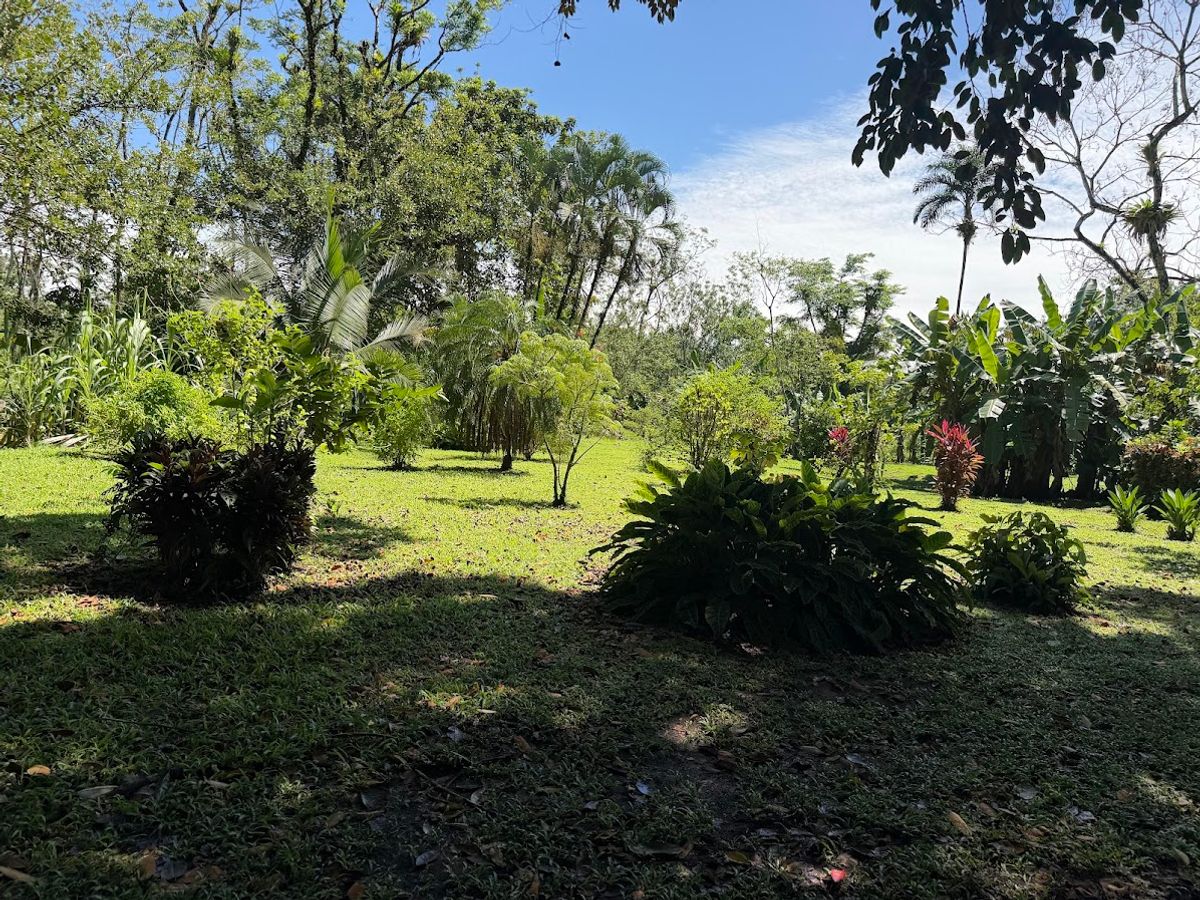 3.6-Hectare Livestock & Commercial Farm in La Vega: Main Road Frontage