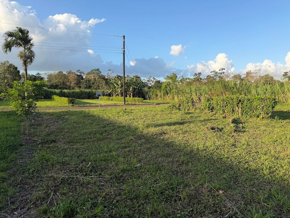 Lote de 400 metros cuadrados en Florencia de San Carlos