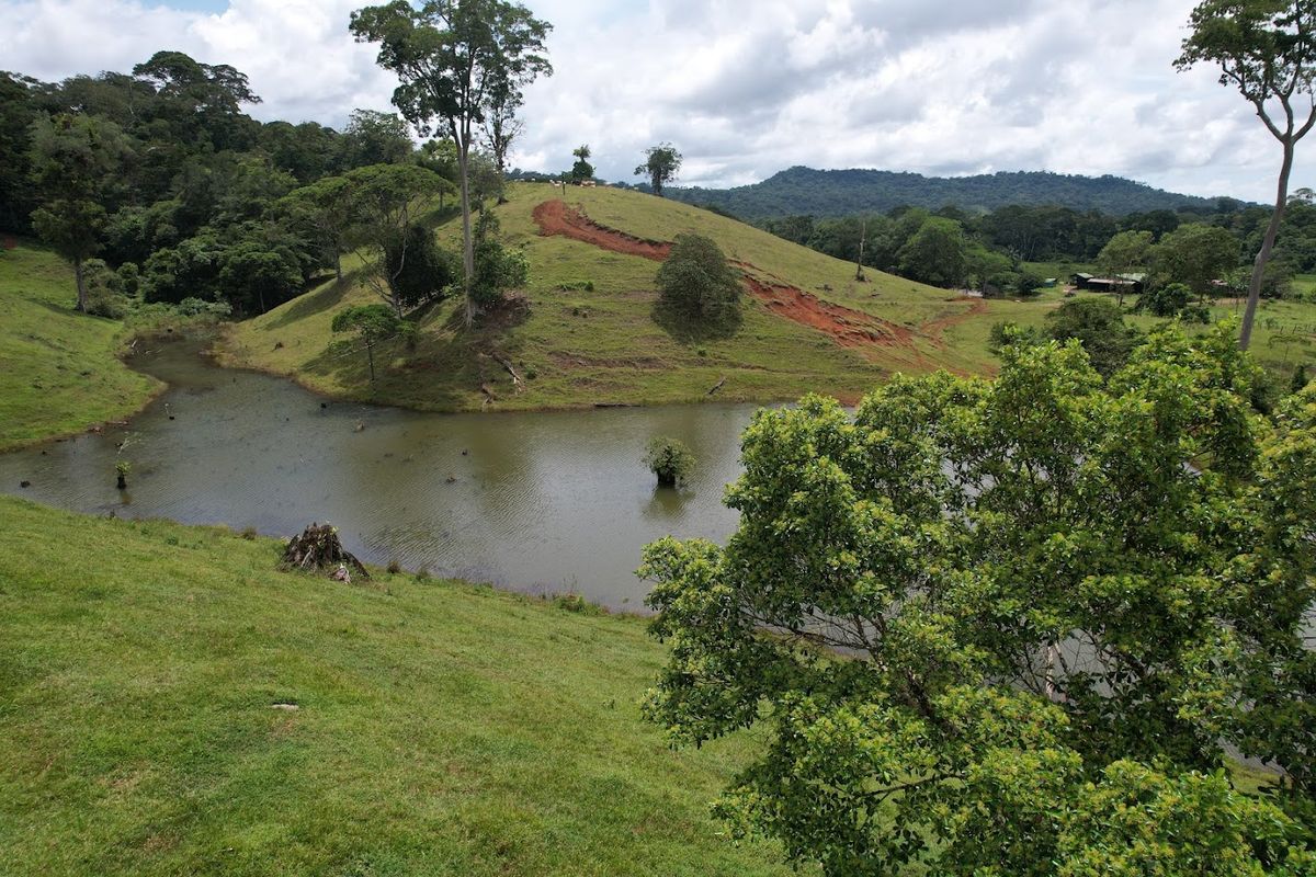 Cattle ranch in Costa Rica, San Carlos